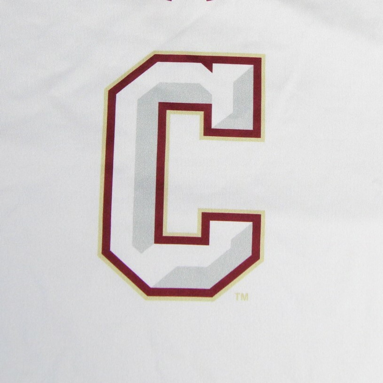 Charleston Cougars